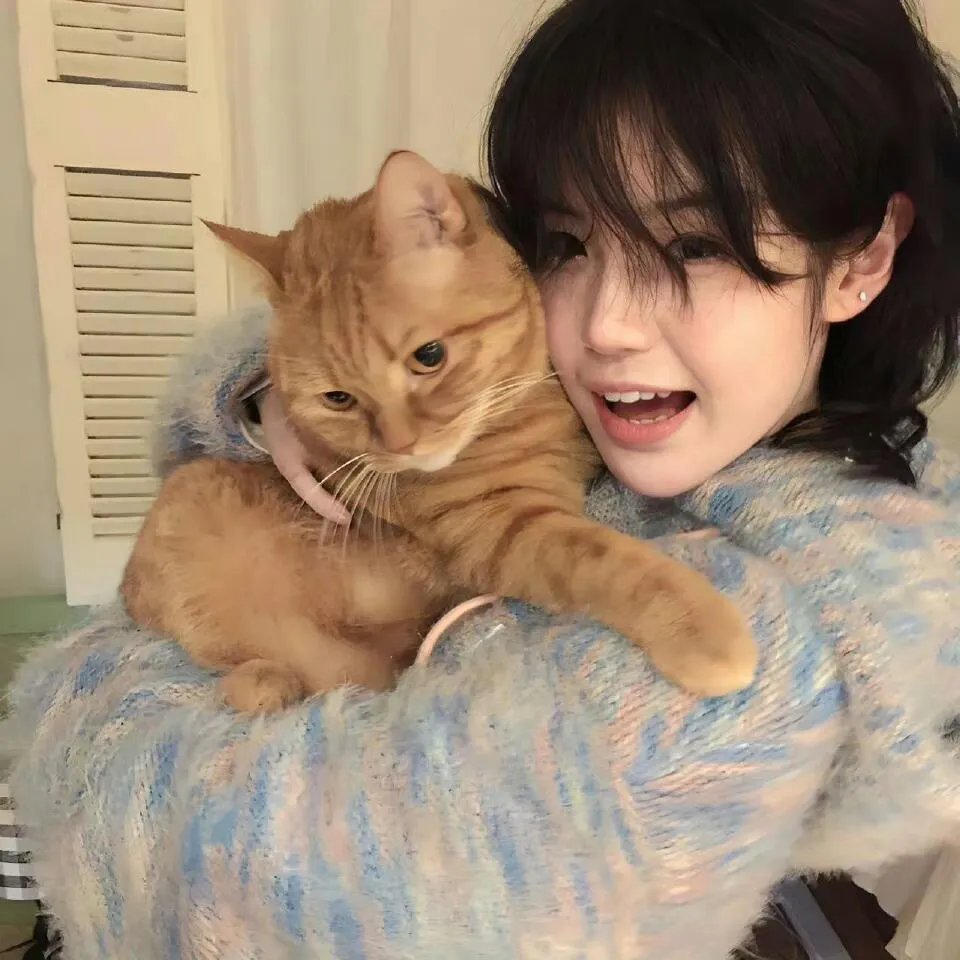 犹太长老的灵猫